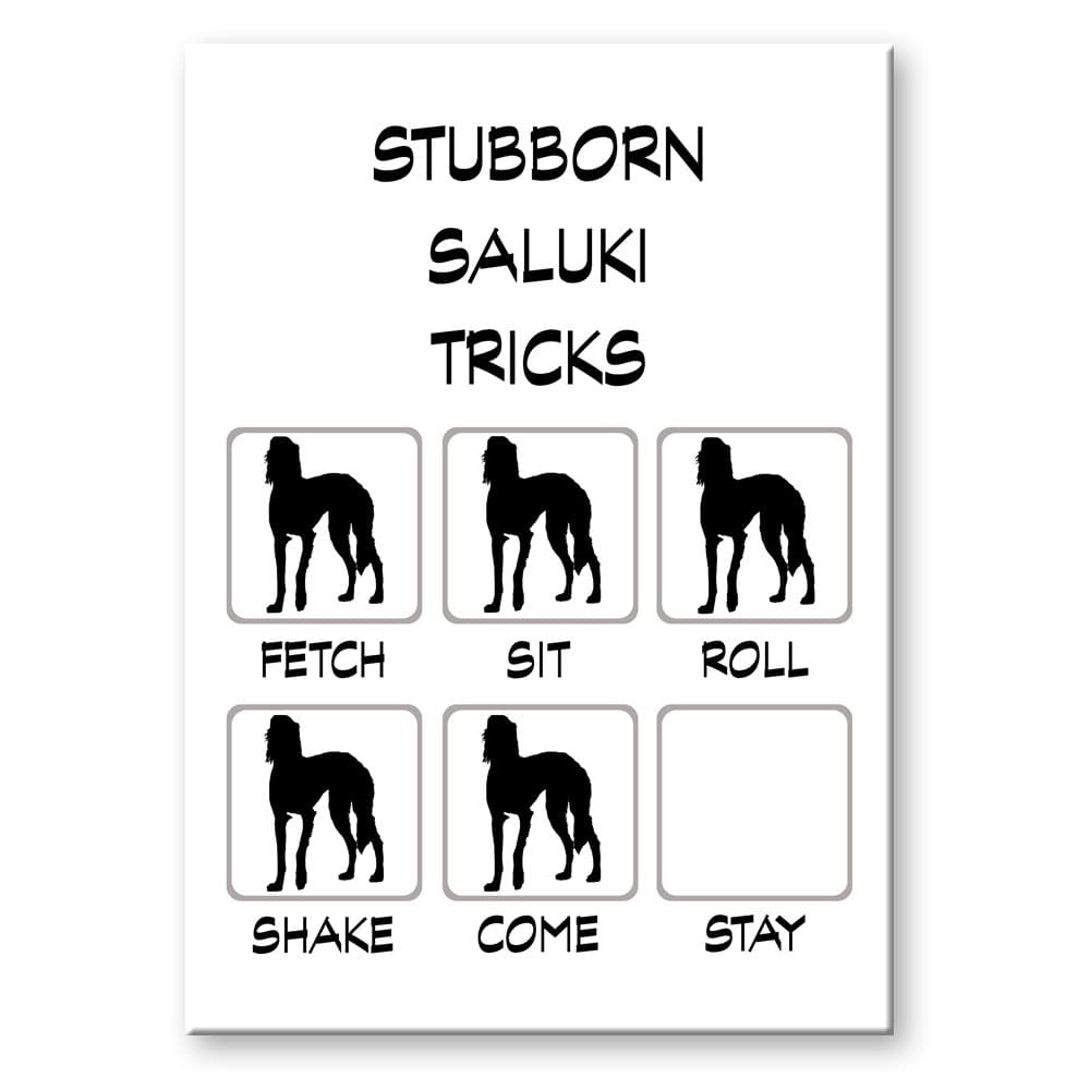 Saluki Stubborn Tricks Fridge Magnet