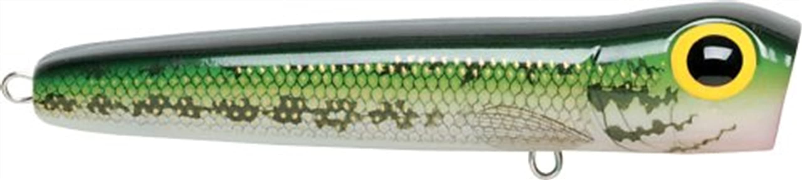 Storm Chug Bug 08 (Bass, Size- 3.25)