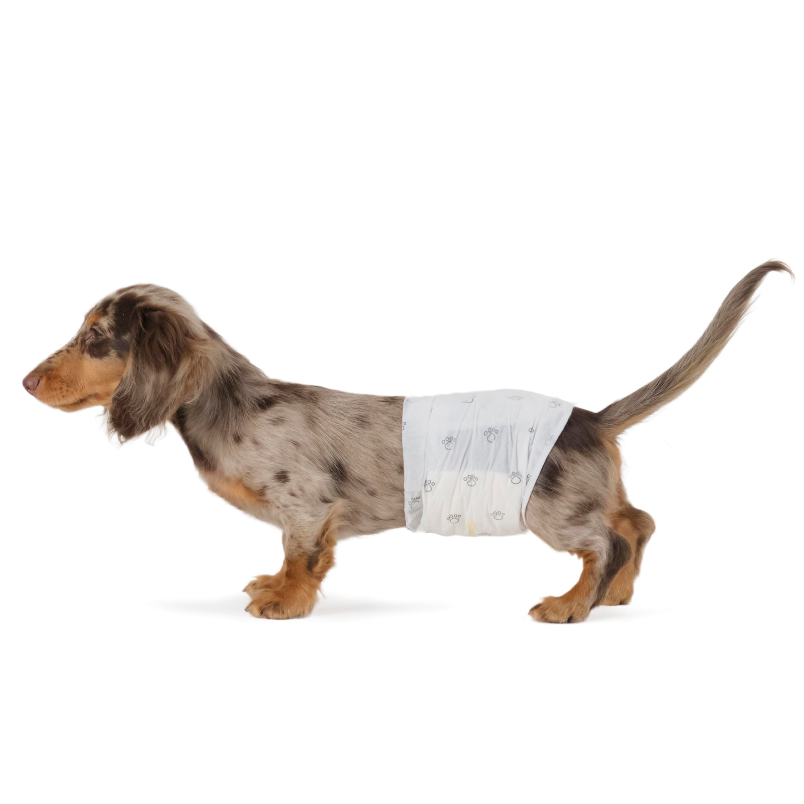 AmazonBasics Male Dog Diaper