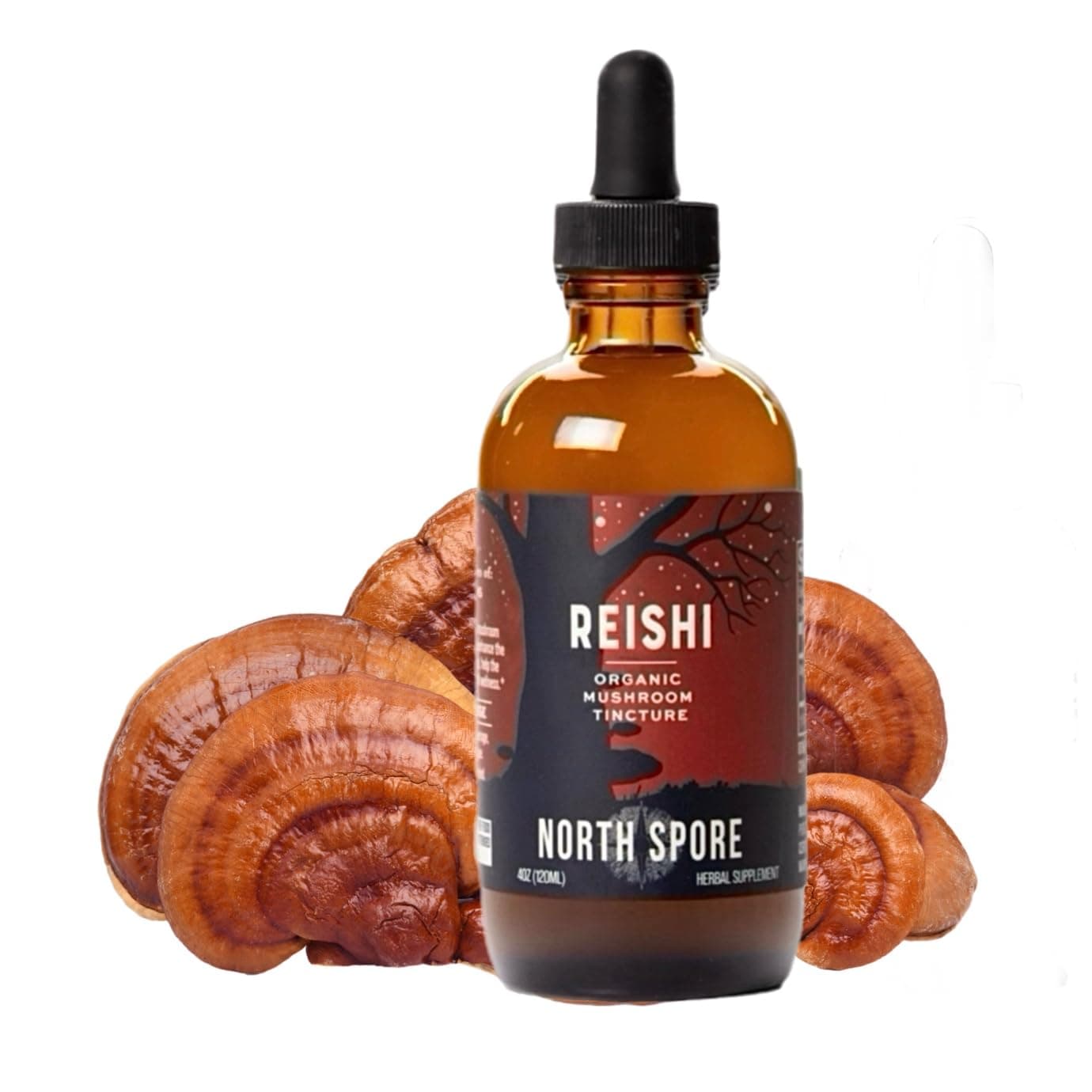 North Spore Reishi Mushroom Extract Tincture | High Potency Organic Ganoderma lucidum, 100% Fruiting Bodies | Non-GMO, Vegan - 4oz