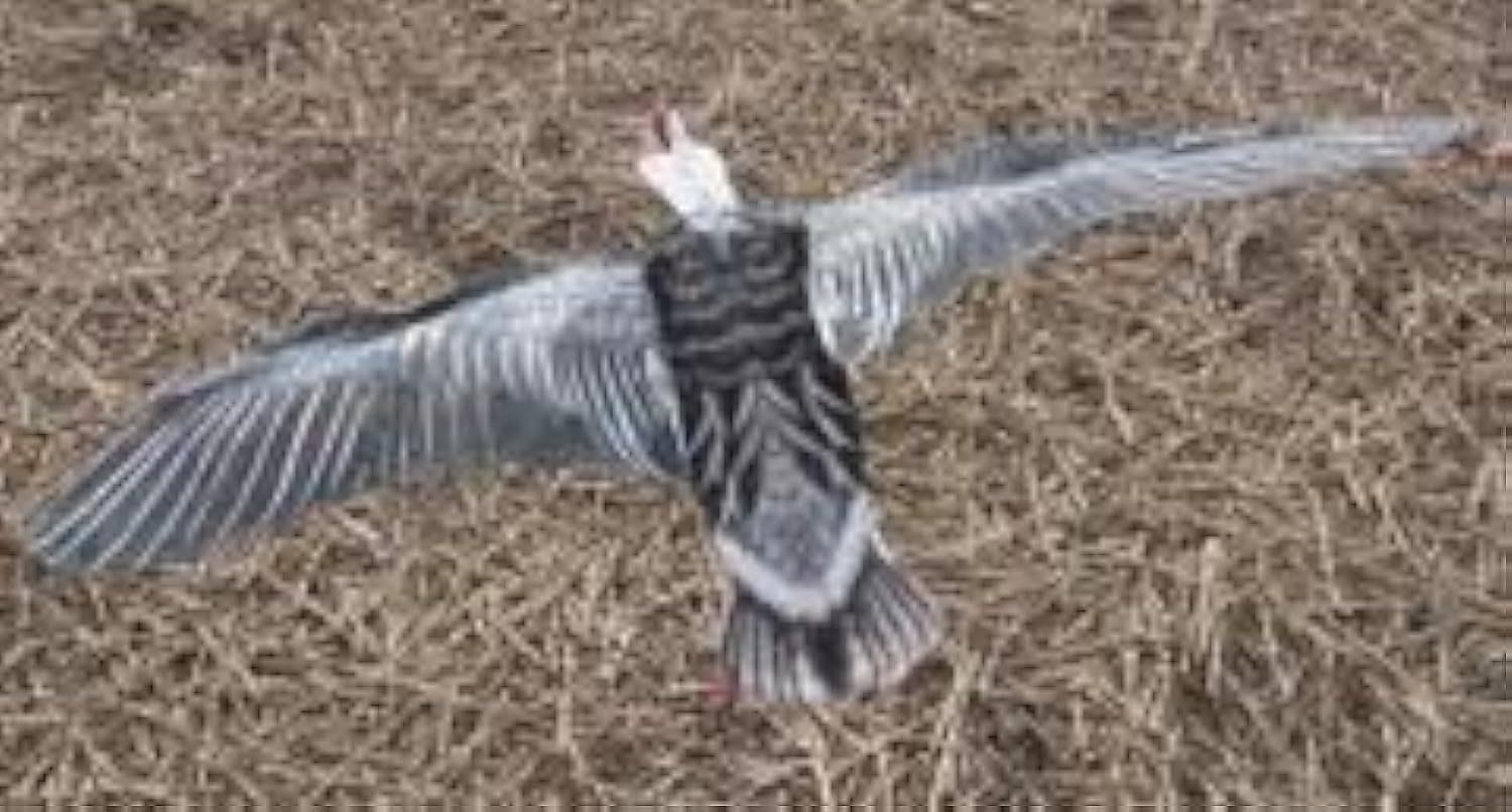 Flapping Blue Goose Decoy