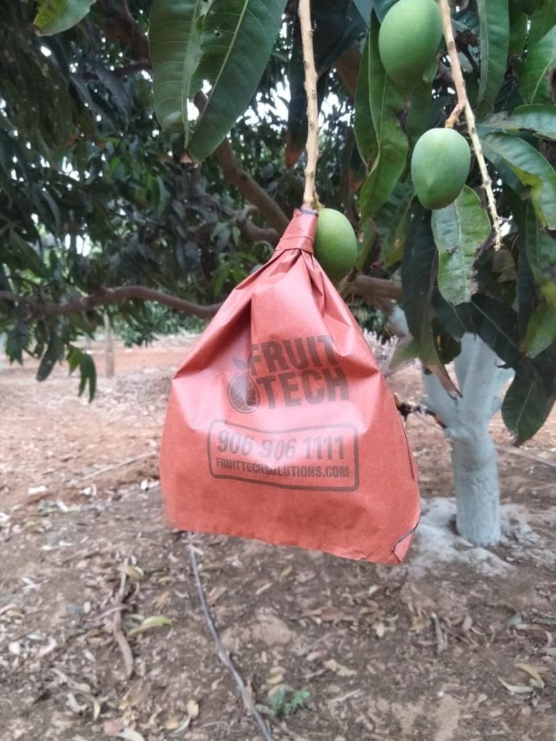 'FRUIT TECH' MANGO Protection/Growth Covers and Bags 17X20CM (Pack of 100 covers) Suitable for SMALL SIZE MANGOS