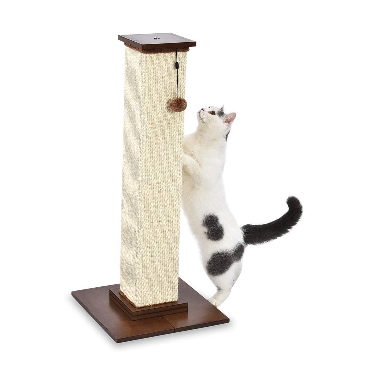 Amazon Basics Large Premium Tall Cat Scratching Post - 40.6 x 89 x 40.6 Centimeters, Wood