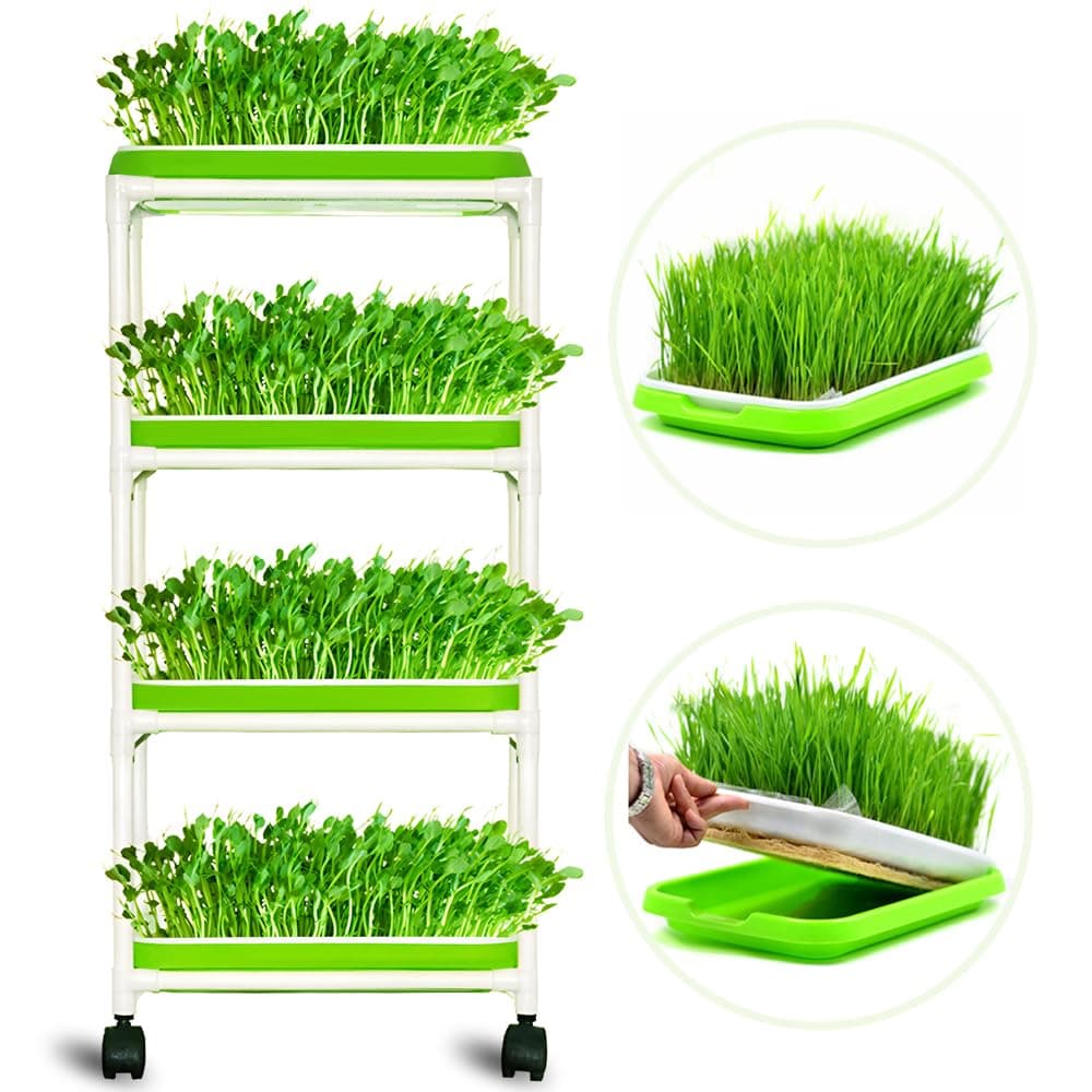 LeJoy Garden 4 Layers Sprout Trays with Extra Strength Plastic Shelf Soil-Free Healthy Wheatgrass Seeds Grower & Storage Trays for Home Office