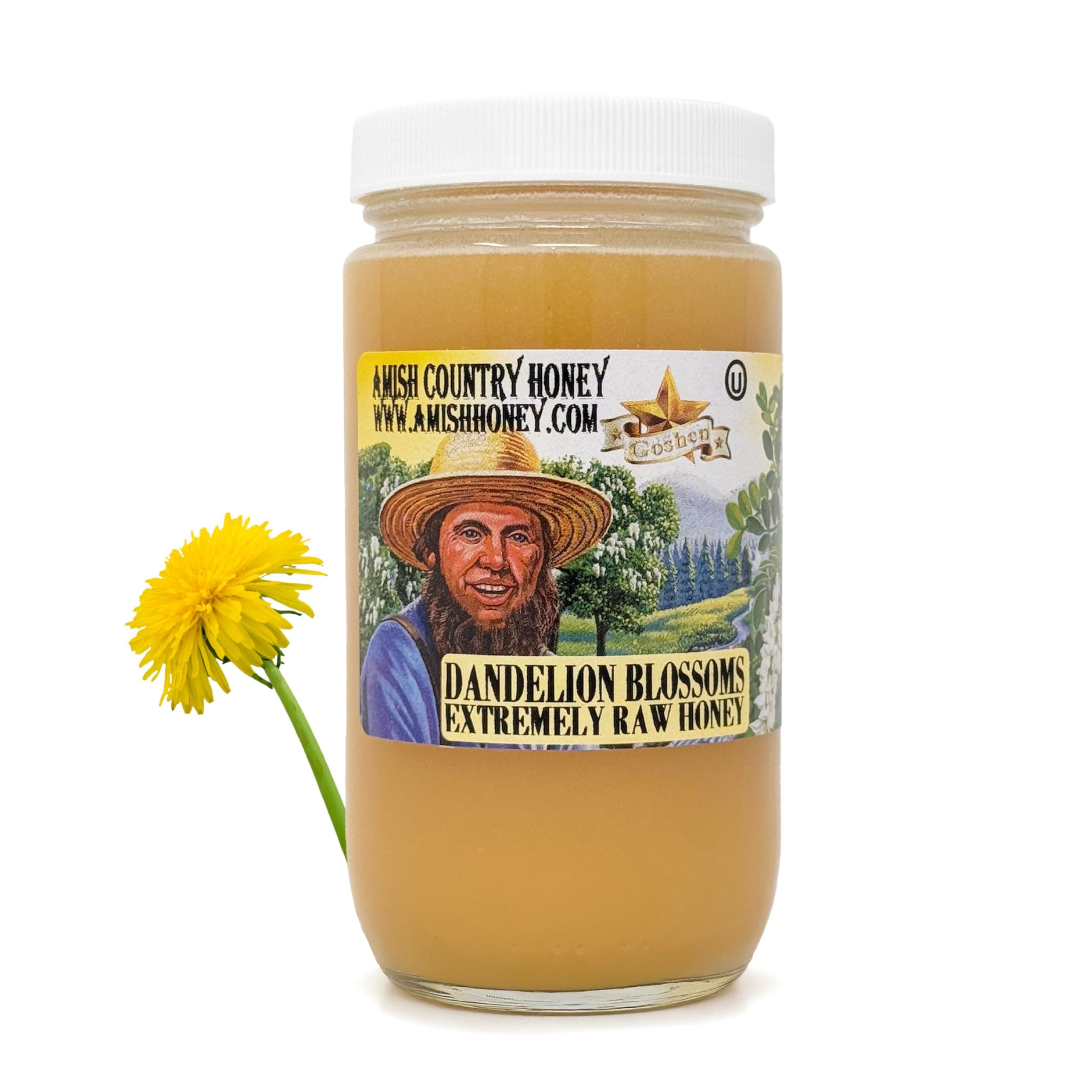 Extremely Raw Dandelion Honey - Unfiltered, Unprocessed, Pure & Natural from Amish Country in the USA - Rich Flavor for Tea, Cooking, Wellness - Dairy & Gluten Free - 454 g / 16 Oz