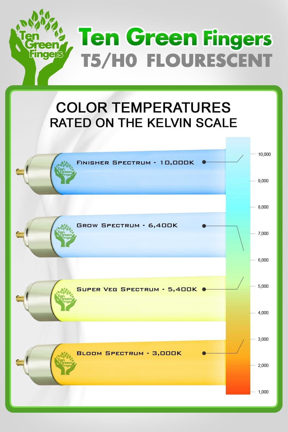 T5 Fluorescent HO Grow Lights (48", 6400k) 4-Pack