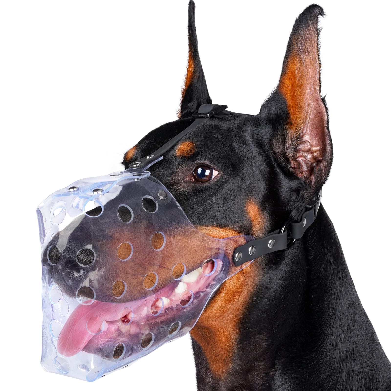 Dog Muzzle, Basket Muzzle for Small Medium Large Sized Dogs to Prevent Biting for Grooming Scavenging, Breathable Mouth Guard for Husky Golden Retriever Labrador Beagle
