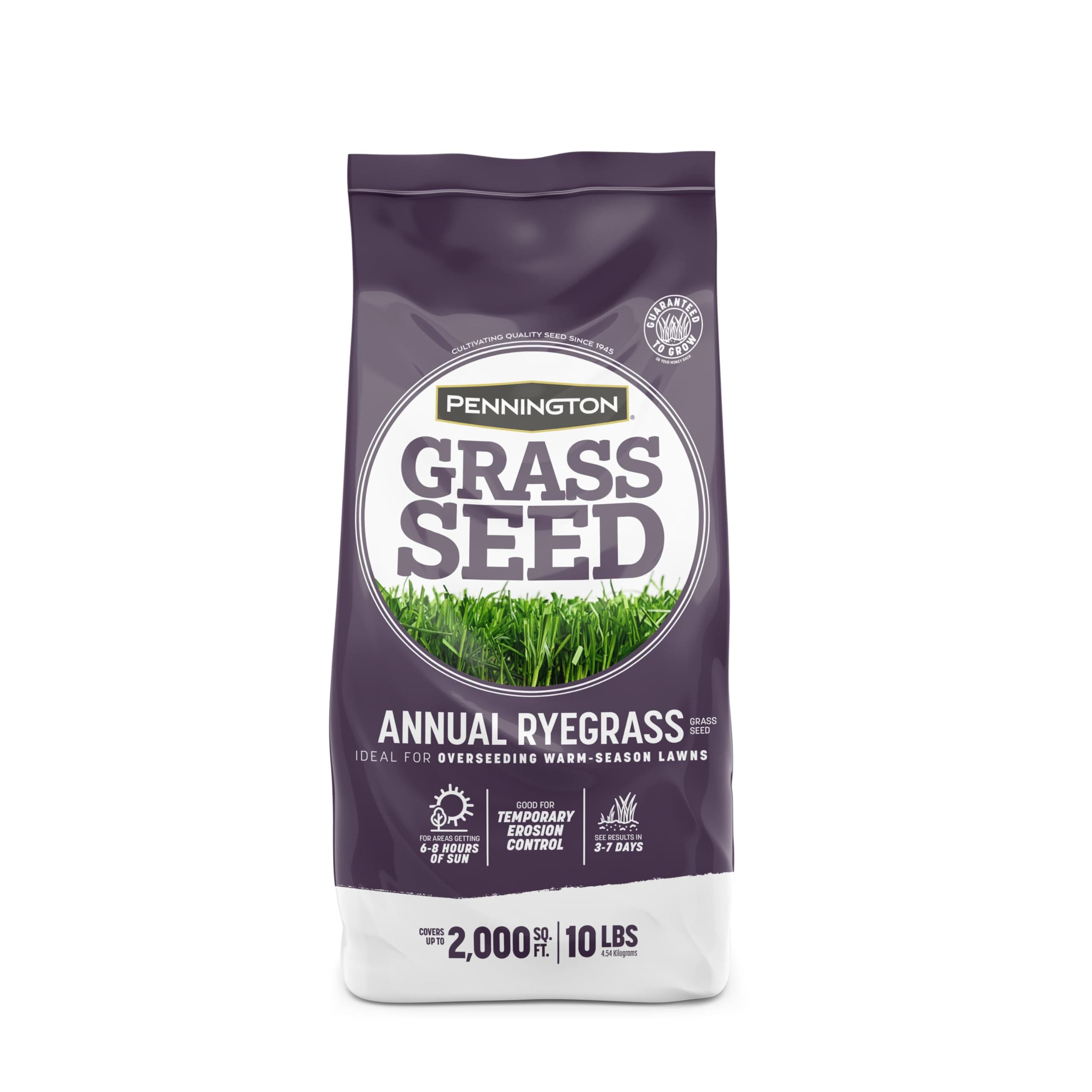 Pennington Annual Ryegrass Grass Seed 10 lb