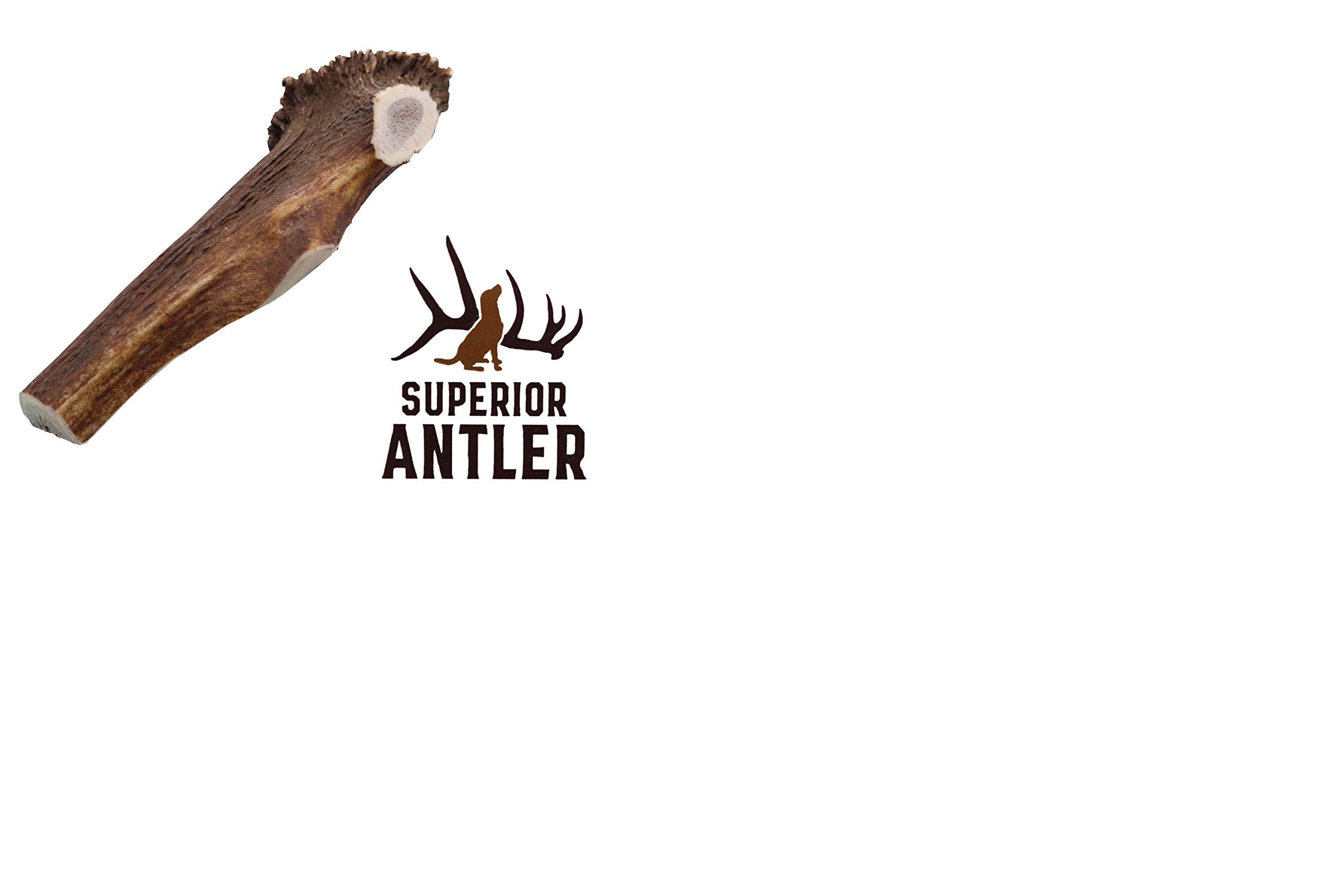 1-X Large Antler, Split, Single Pack - XL All Natural Premium Grade A. Antler Chew. Naturally Shed, Hand-Picked, and Made in The USA. NO Odor, NO Mess. Guaranteed Satisfaction. for Dogs 45+LBSL