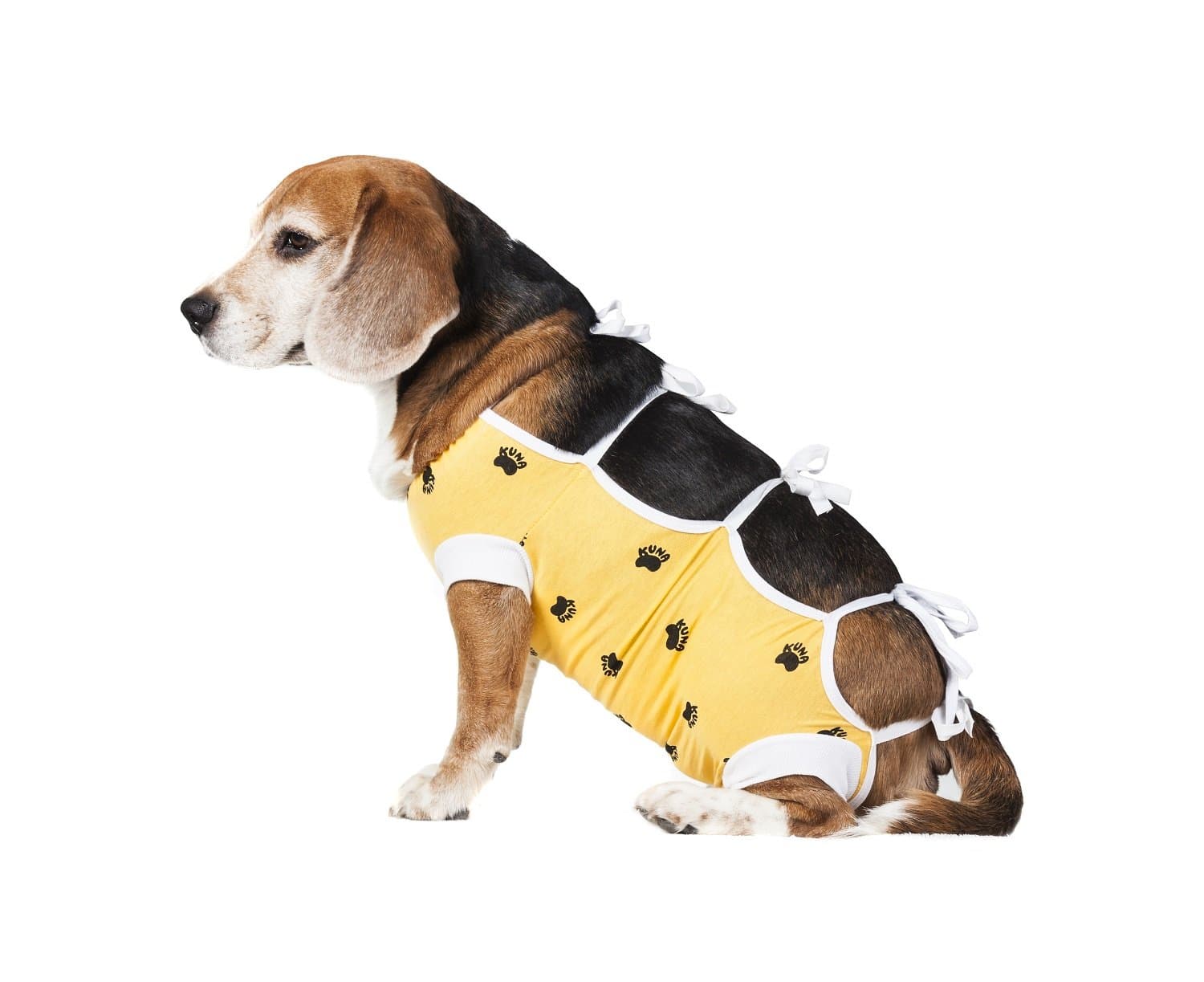 E-Collar Alternative for Cats and Dogs Designed to Protect Abdominal Wounds and Skin Disease. Award Winning and Patented Design Recommended by Veterinarians Worldwide. (Small, Yellow)