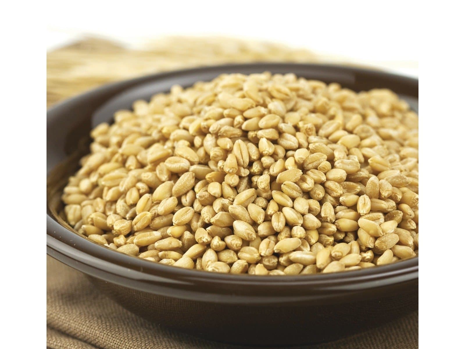 Soft White Wheat Berries / Kernels 50 lbs. by Wheat Montana