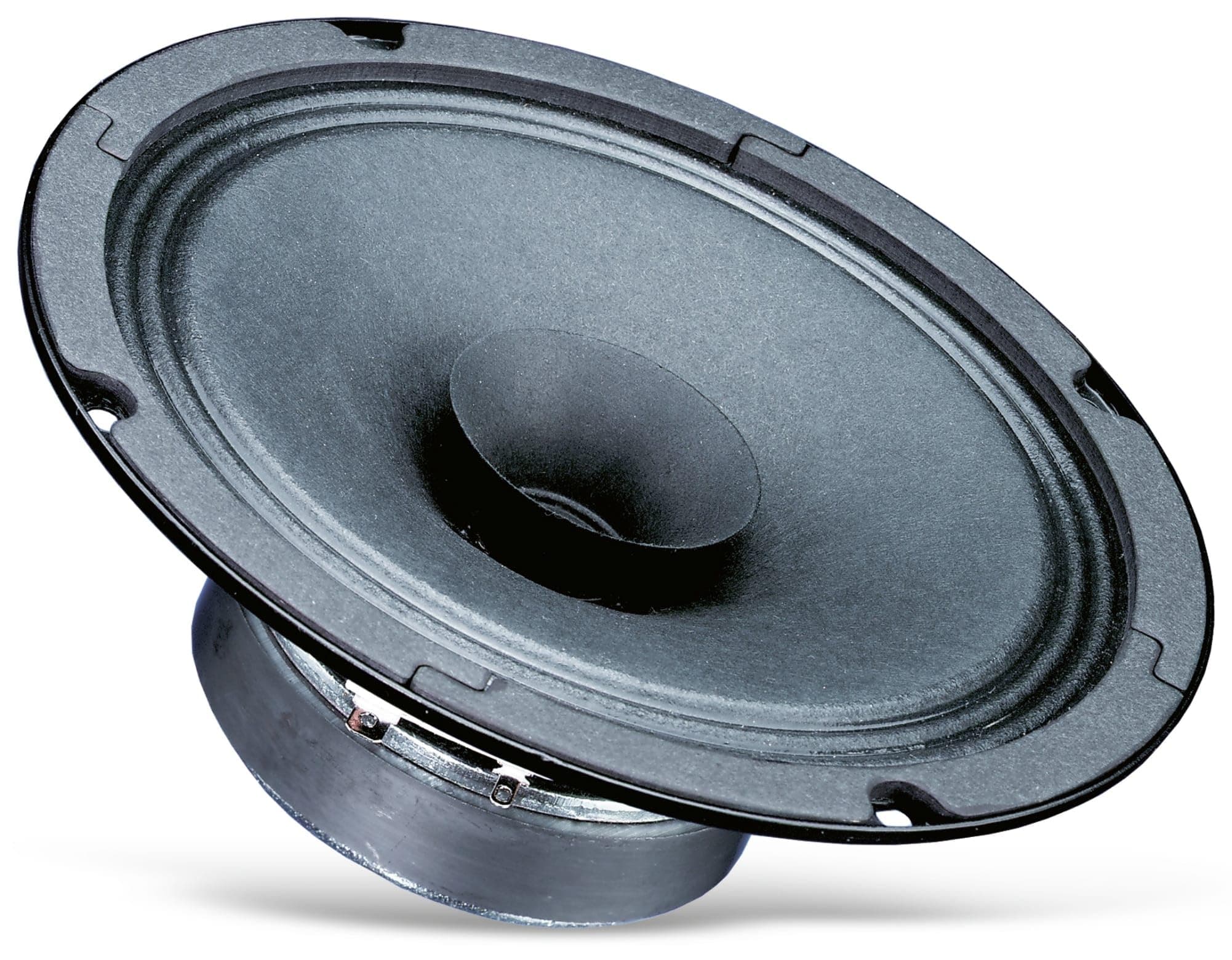 Visaton BG17-8 6.5" Full-Range Speaker with Whizzer Cone 8 Ohm