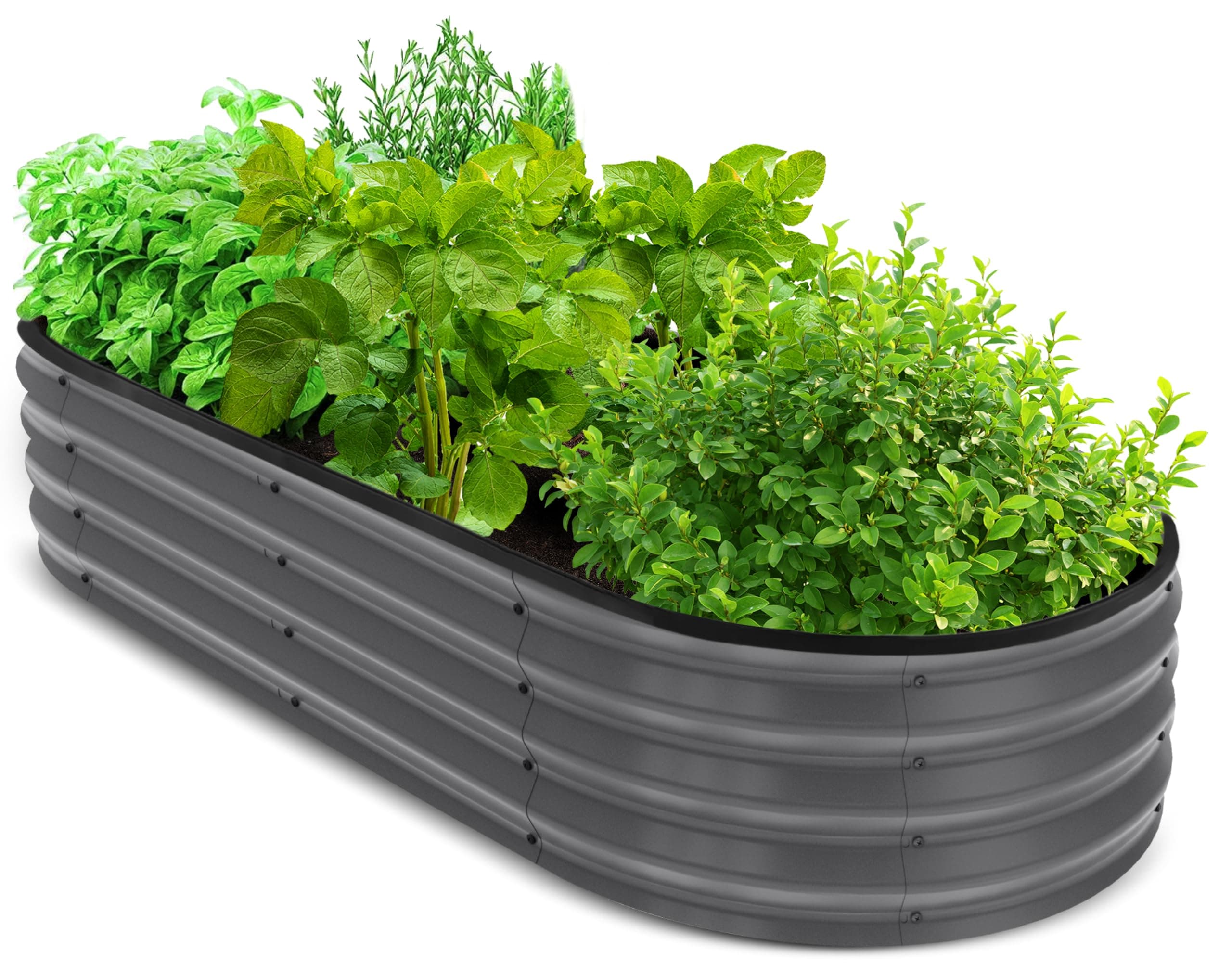 Utopia Home Galvanized Raised Garden Bed Kit 4x2x1ft, Planter Box Raised Garden Beds Outdoor, Easy Assembly Metal Raised Bed for Gardening Vegetables, Fruits, Flowers - Pack of 01 - Dark Grey