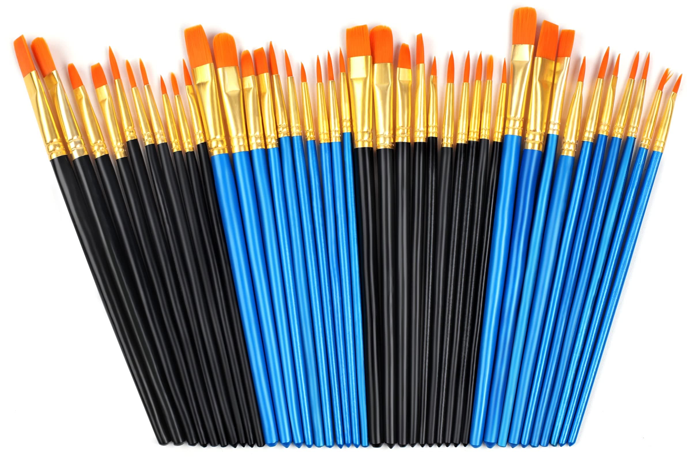 Phinus 40 Pcs Paint Brushes, Paint Brush Set, Paint Brushes for Acrylic Painting, Watercolor Brushes, Acrylic Paint Brushes for Acrylic Oil Watercolor, Miniature Detailing, and Rock Painting
