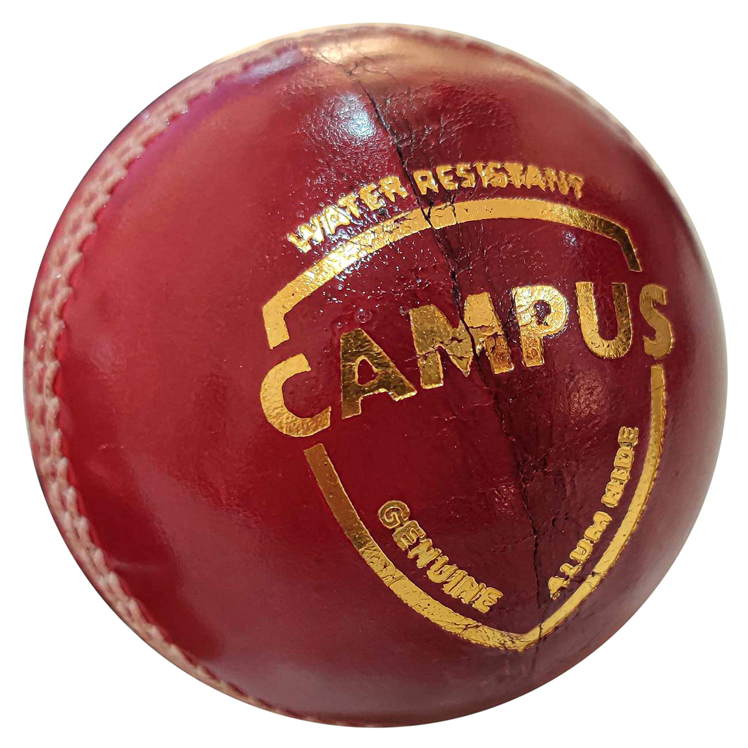 SG campus four piece leather cricket ball - red