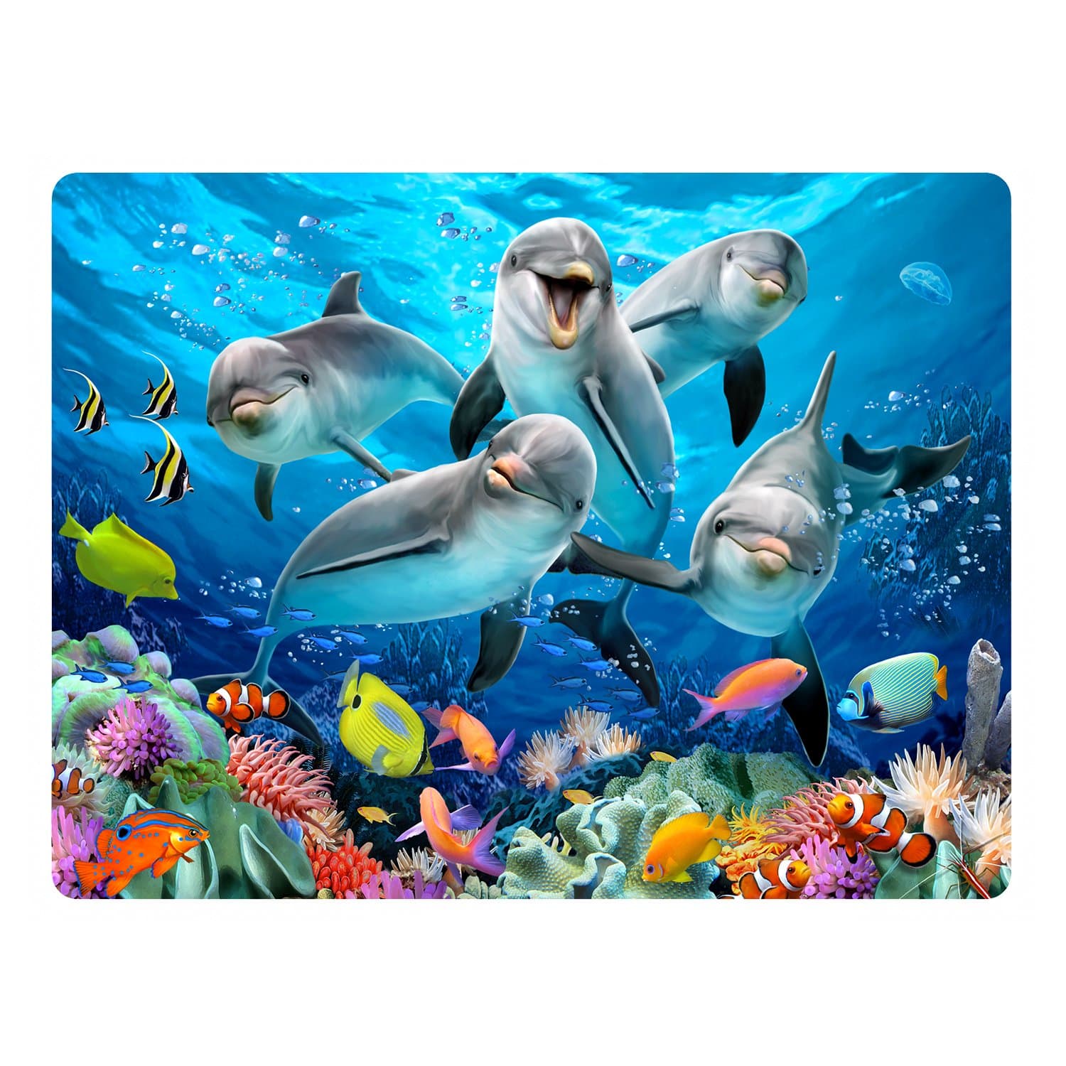 Howard Robinson Super 3D Moving Postcard, Dolphin Delight