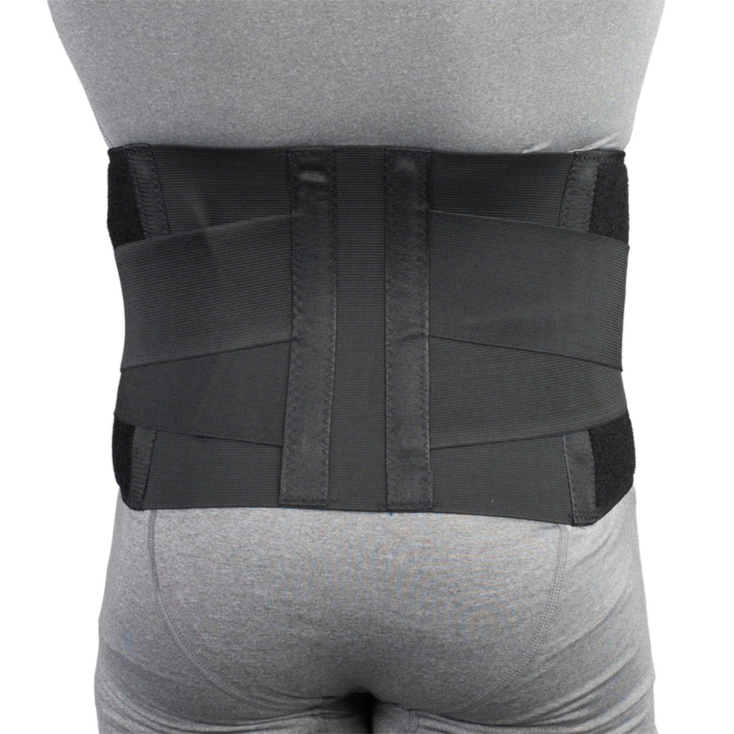 CHAMPION Industrial Belt Back Brace Abdominal Support, Black, Regular