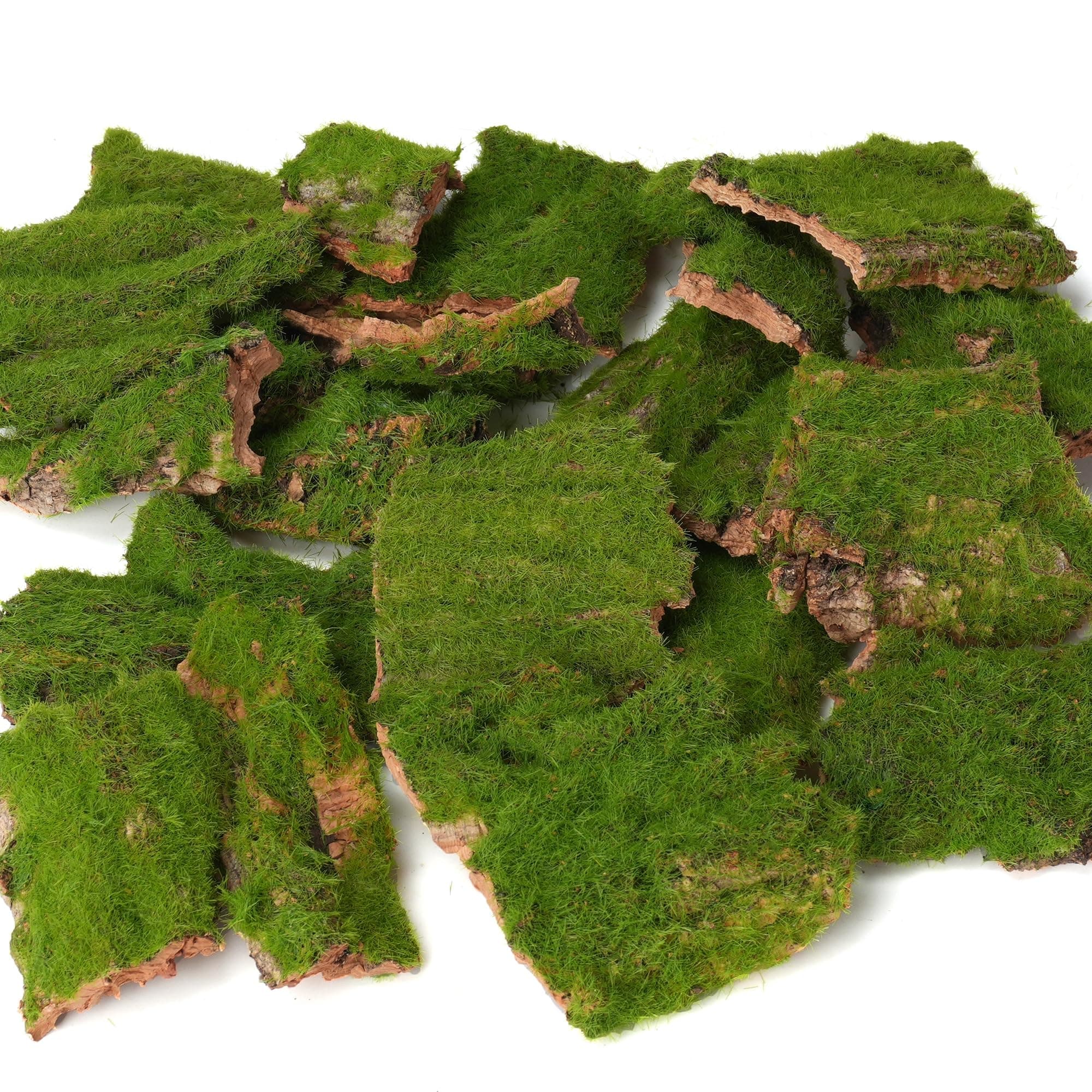 BYHER Assorted Artificial Moss Bark, Decorative Mossy Tree Bark for DIY Crafts, Fairy Gardens, Terrariums, Floral Arrangements (Realistic Green - 100gr)