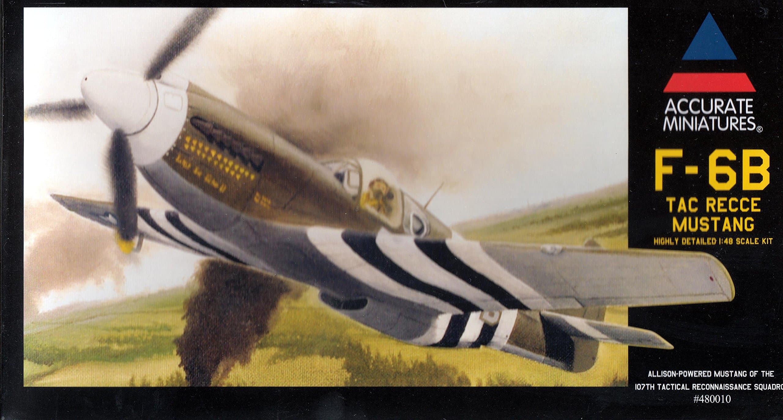 F-6B TAC RECCE Mustang Model Kit